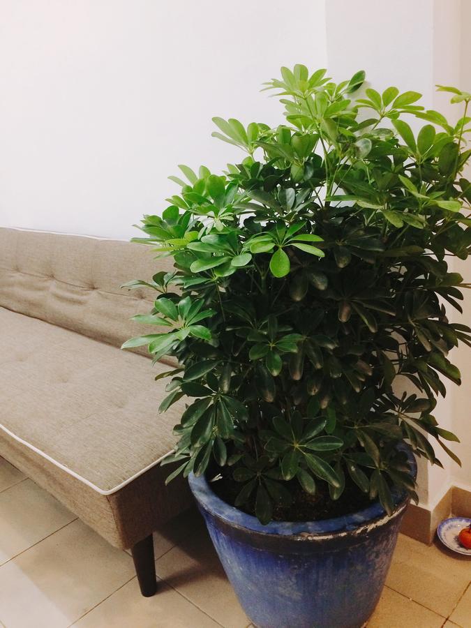 Condodo Hostel 胡志明市 外观 照片