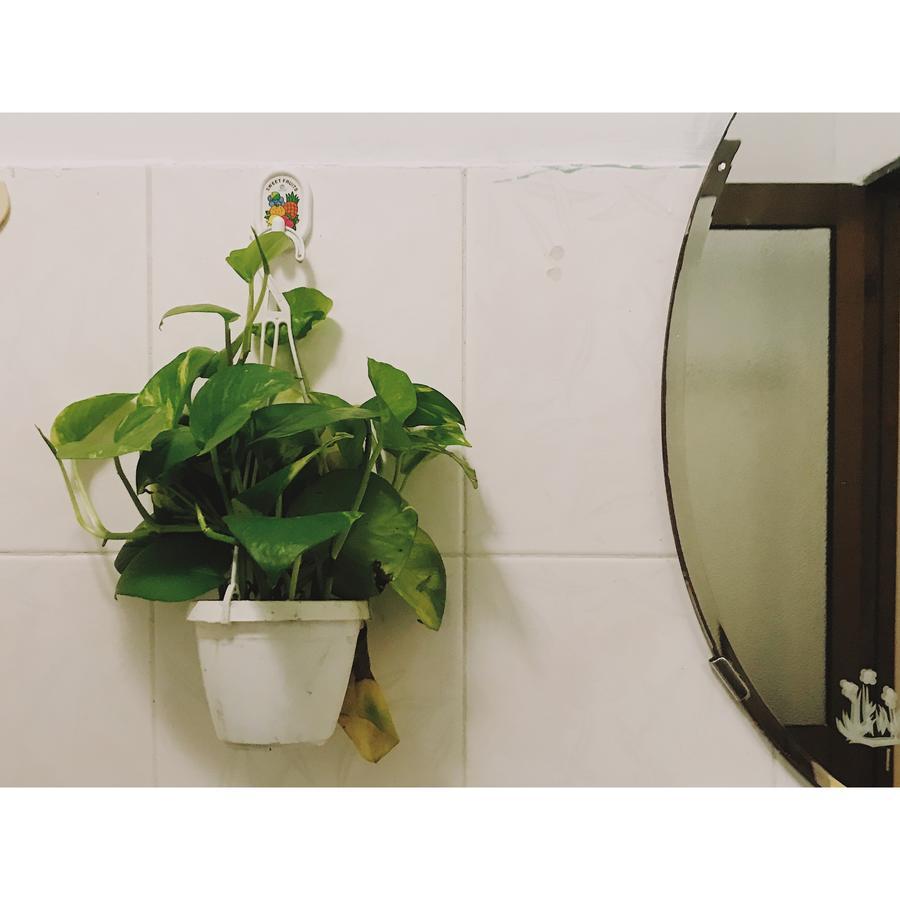 Condodo Hostel 胡志明市 外观 照片