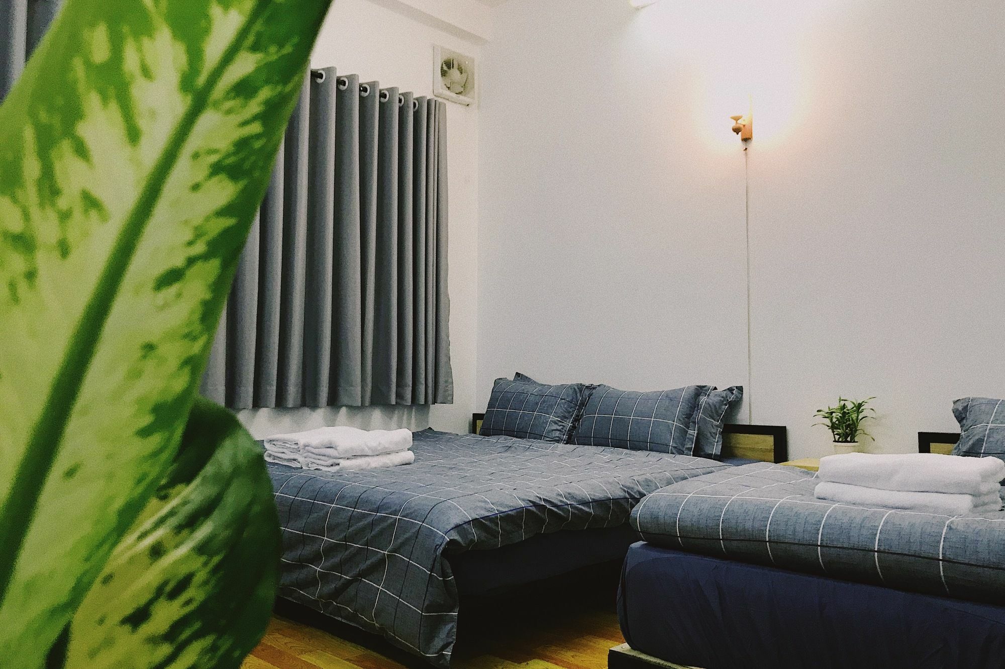 Condodo Hostel 胡志明市 外观 照片