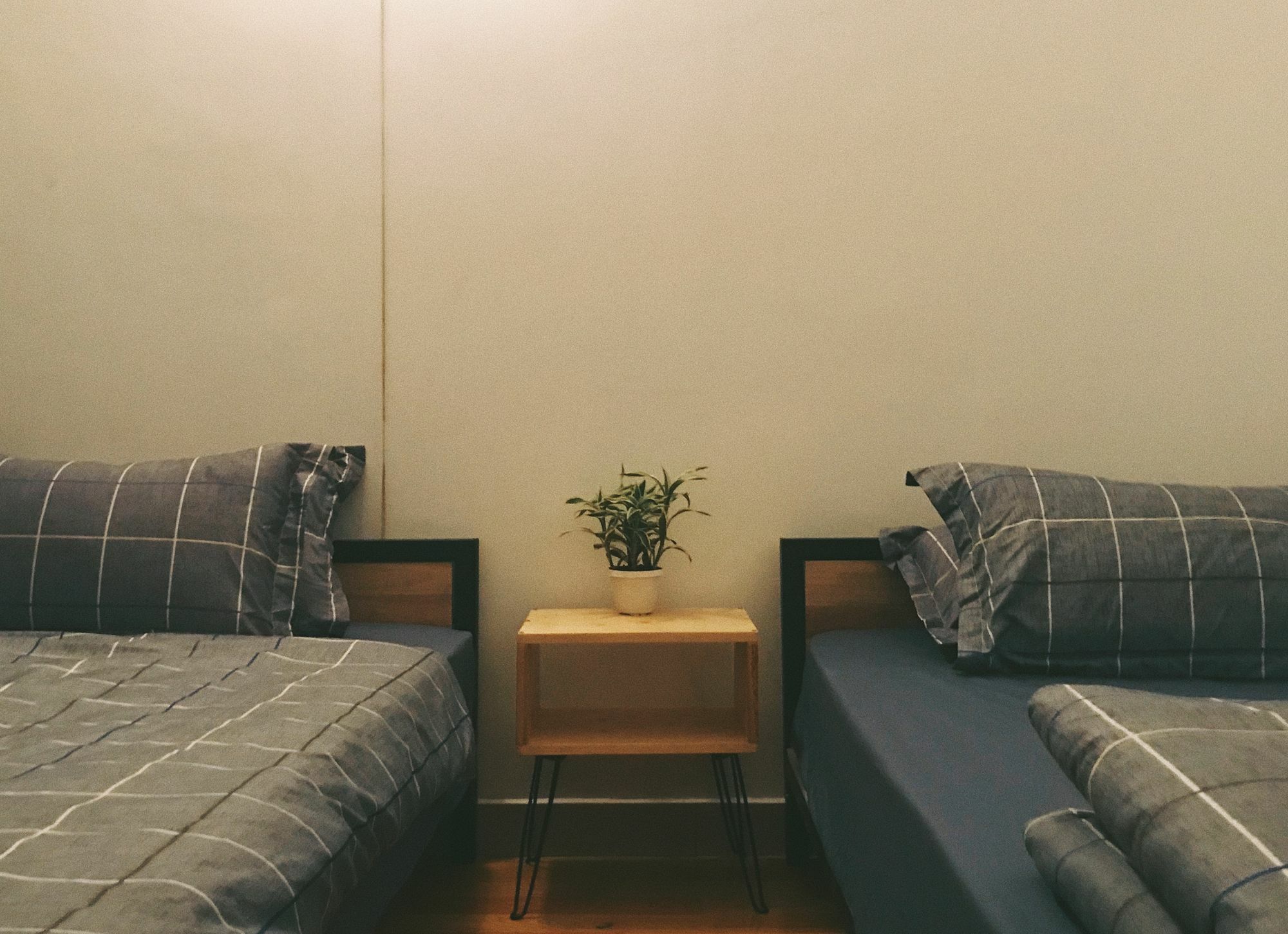 Condodo Hostel 胡志明市 外观 照片